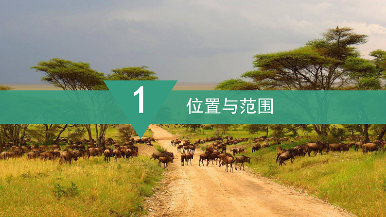 【课件】湘教版（2024）七年级下册7.2《非洲》第6页