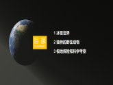 2024新教材湘教版 七年级下册8.5《北极地区和南极地区》教案+学案+课件