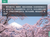 2024新教材湘教版 七年級下冊9.1《日本》教案+學(xué)案+課件