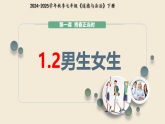 1.2 男生女生 （課件）2024-2025學年七年級道德與法治下冊（統(tǒng)編版2024）