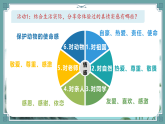 2.3品味美好情感 （同步課件）2024-2025學(xué)年七年級(jí)道德與法治下冊(cè)（統(tǒng)編版2024）