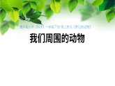 新教科版一年級科學(xué)下冊第二單元第1課《我們周圍的動物》課件