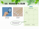 新教科版一年級科學(xué)下冊第二單元第1課《我們周圍的動物》課件