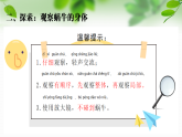 新教科版一年級(jí)科學(xué)下冊(cè)第二單元第2課《觀察一種動(dòng)物》課件