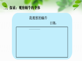 新教科版一年級(jí)科學(xué)下冊(cè)第二單元第2課《觀察一種動(dòng)物》課件