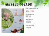 新教科版一年級(jí)科學(xué)下冊(cè)第二單元第3課《給蝸牛建個(gè)“家”》課件