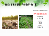 新教科版一年級(jí)科學(xué)下冊(cè)第二單元第3課《給蝸牛建個(gè)“家”》課件