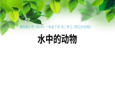 新教科版一年級科學(xué)下冊第二單元第4課《水中的動物》課件