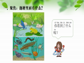 新教科版一年級科學(xué)下冊第二單元第4課《水中的動物》課件