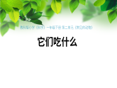 新教科版一年級(jí)科學(xué)下冊(cè)第二單元第5課《它們吃什么》課件