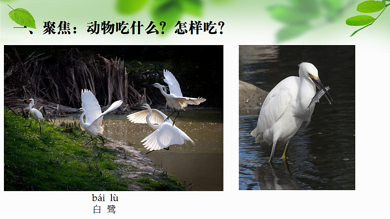 16696355第2页