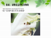 新教科版一年級(jí)科學(xué)下冊(cè)第二單元第5課《它們吃什么》課件