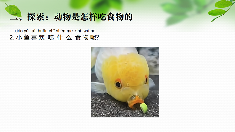 16696355第4页