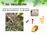 新教科版一年級(jí)科學(xué)下冊(cè)第二單元第5課《它們吃什么》課件