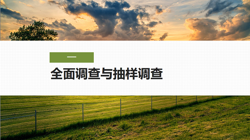 16696436第5页