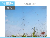 中圖版（2024）七下地理課件 第六章 第一節(jié) 第二課時(shí) 氣象與洪澇災(zāi)害 洪澇災(zāi)害的防治
