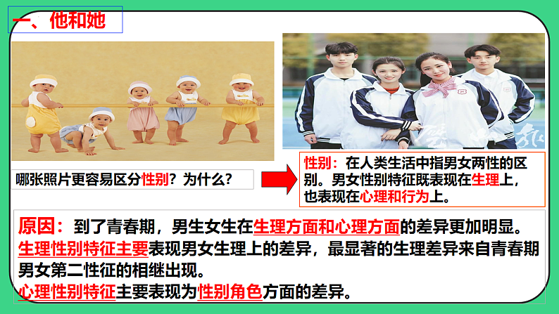 16696469第5页