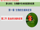 人教版初中生物八下 第一章生物的生殖和發(fā)育  1.2《昆蟲的生殖和發(fā)育》課件
