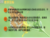 人教版初中生物八下 第一章生物的生殖和發(fā)育  1.2《昆蟲的生殖和發(fā)育》課件