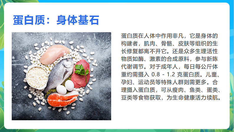 16696660第3页