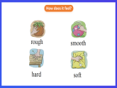 滬教牛津版（五四制）英語四下 Module 1 Unit 2 《How does it feel》課件