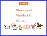 滬教牛津版（五四制）英語四下 Module 2 Unit 2 《Cute animals》課件