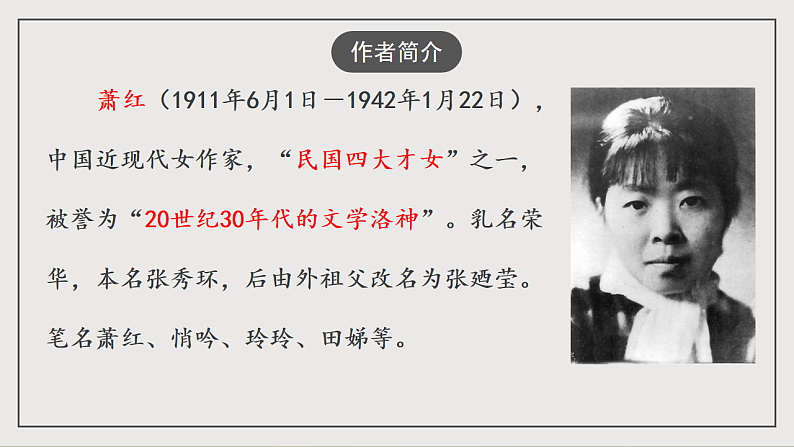 16697243第3页
