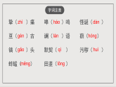 人教部编版（五四制）语文七下  7《土地的誓言》 课件