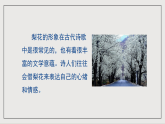 人教部编版（五四制）语文七下  14《驿路梨花》课件