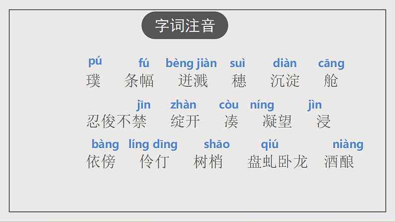 16697269第5页