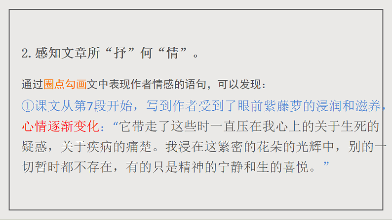 16697269第8页