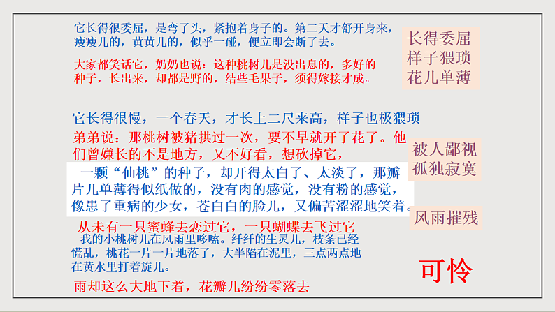 16697270第7页