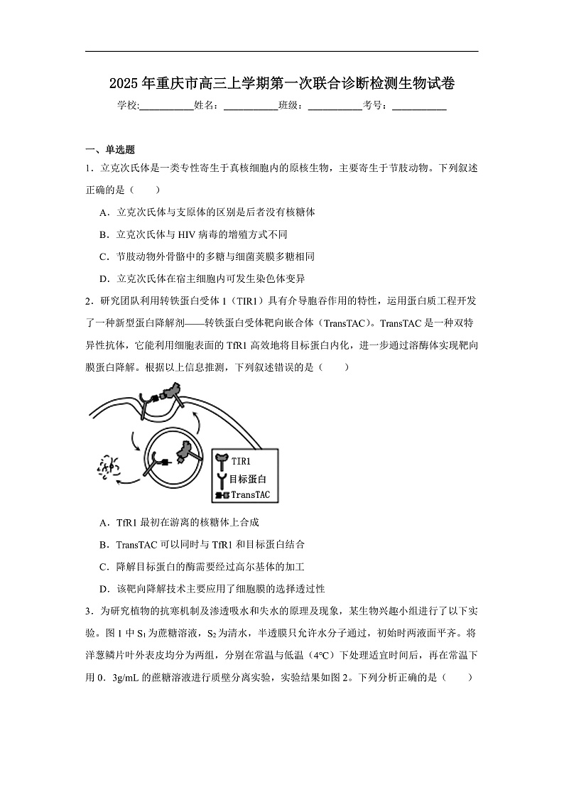 2025年重庆市高三上学期第一次联合诊断检测生物试卷第1页