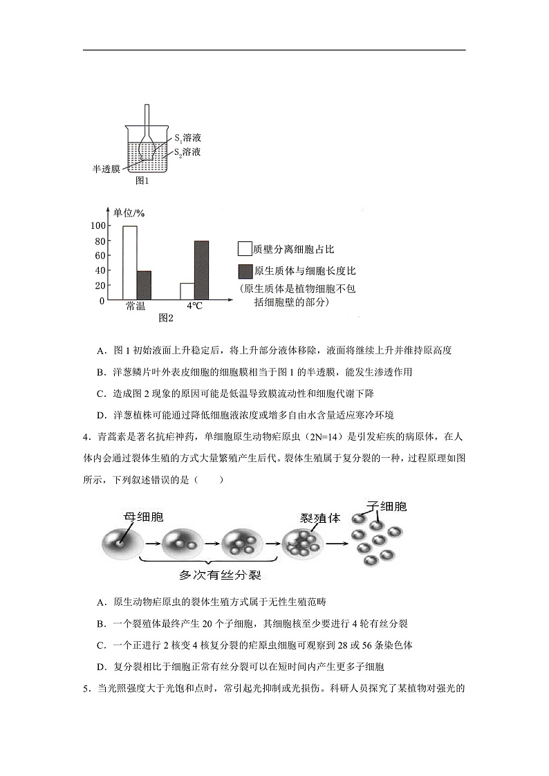 2025年重庆市高三上学期第一次联合诊断检测生物试卷第2页