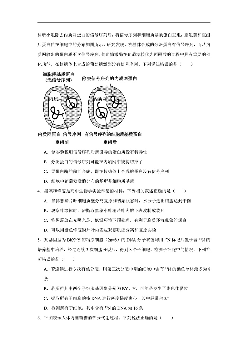河南省信阳市2024-2025学年高三上学期1月第二次教学质量检测生物试题第2页