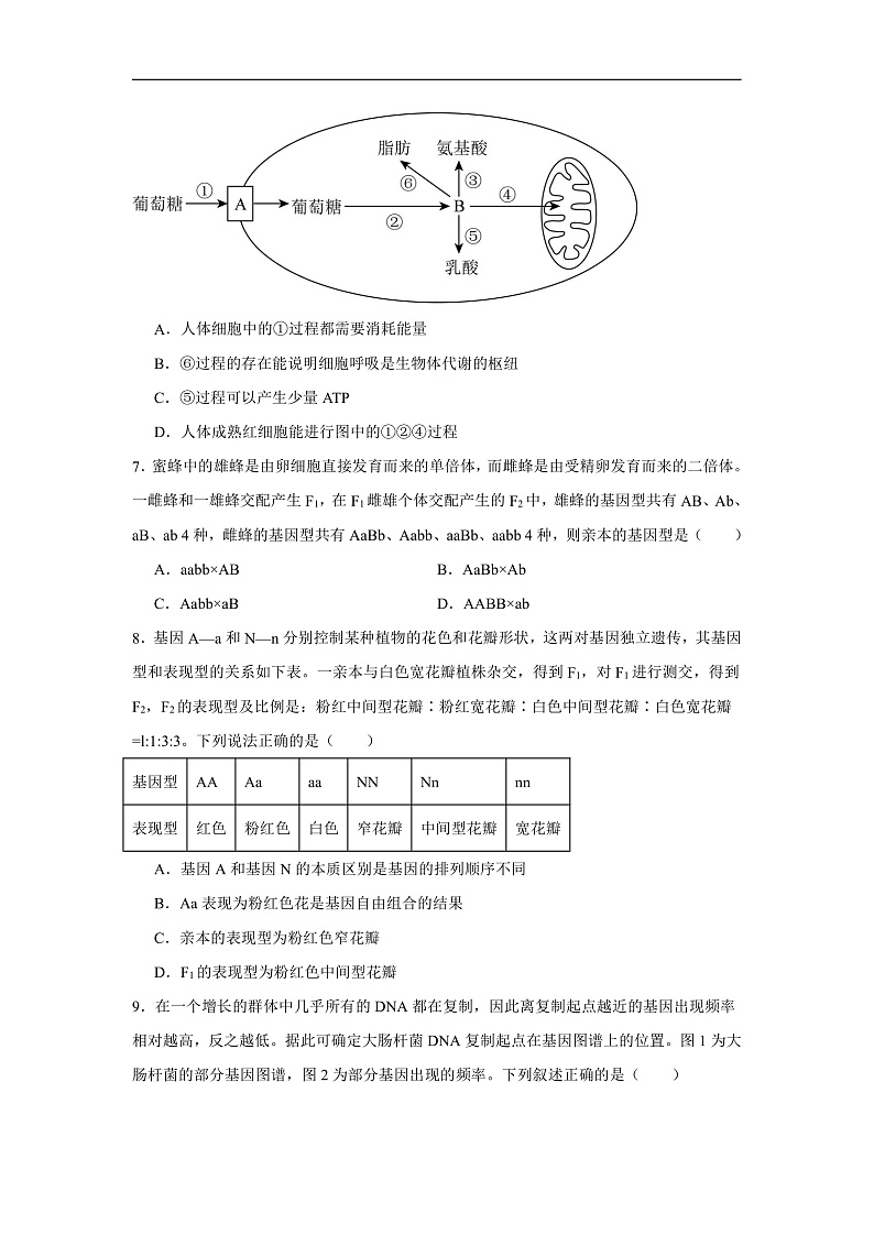 河南省信阳市2024-2025学年高三上学期1月第二次教学质量检测生物试题第3页