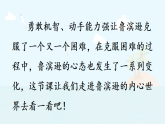 统编版小学语文六年级下册第二单元 5《鲁滨逊漂流记（节选）》课件（第二课时）