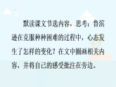 统编版小学语文六年级下册第二单元 5《鲁滨逊漂流记（节选）》课件（第二课时）