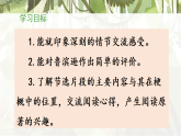 统编版小学语文六年级下册第二单元 5《鲁滨逊漂流记（节选）》教学课件（第二课时）