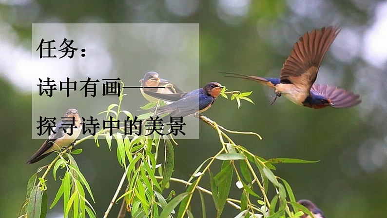 统编版小学语文三年级下册第一单元 1《古诗三首》新课标课件（第一课时）第4页
