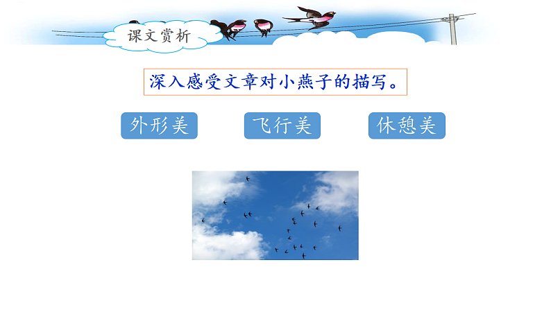 统编版小学语文三年级下册第一单元 2《燕子》课件（第二课时）第6页
