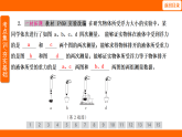 10.2 阿基米德原理（課件）人教版物理八年級下冊