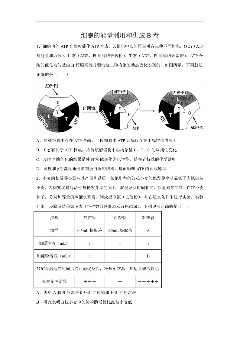 高中生物一轮复习第三单元细胞的能量供应和利用单元检测B卷含解析答案第1页
