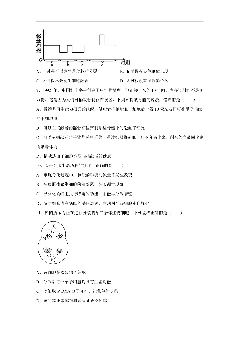 高中生物一轮复习第四单元细胞的生命历程单元检测（A卷）含解析答案第2页