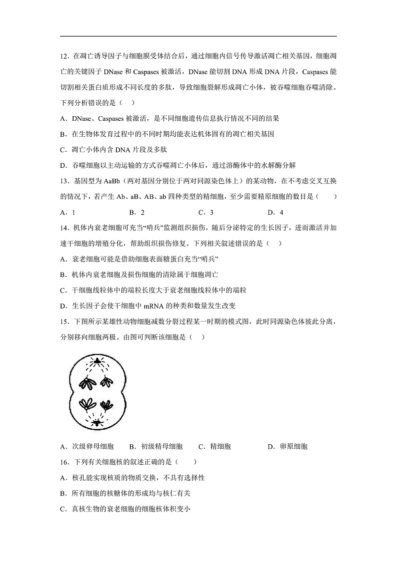 高中生物一轮复习第四单元细胞的生命历程单元检测（A卷）含解析答案第3页