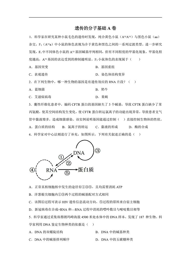 高中生物一轮复习第六单元遗传的分子基础单元检测A卷含解析答案第1页
