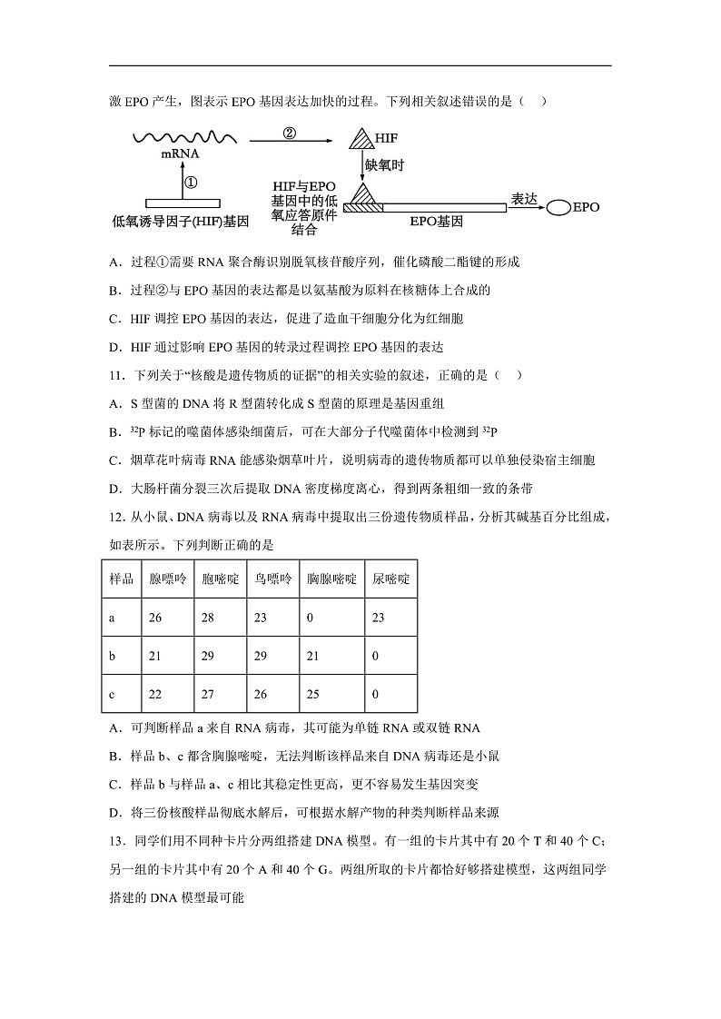 高中生物一轮复习第六单元遗传的分子基础单元检测A卷含解析答案第3页