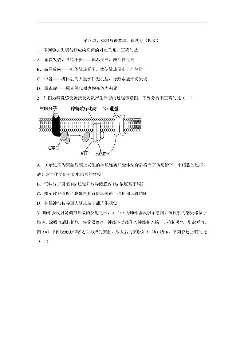高中生物一轮复习第八单元稳态与调节单元检测卷（B卷）含解析答案第1页
