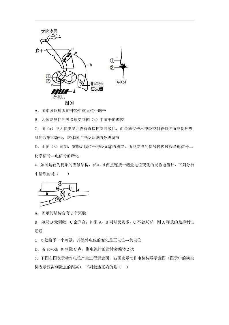 高中生物一轮复习第八单元稳态与调节单元检测卷（B卷）含解析答案第2页