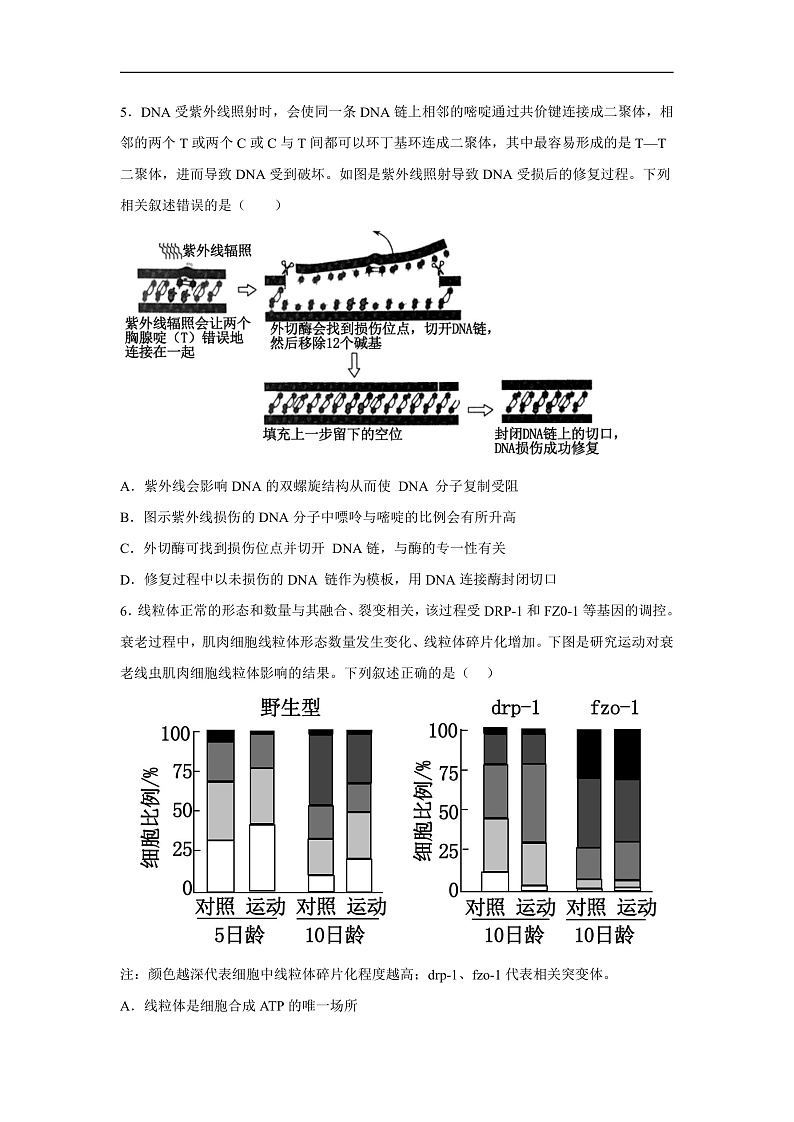 高中生物一轮复习第十单元生物技术与工程综合检测（B卷）含解析答案第2页